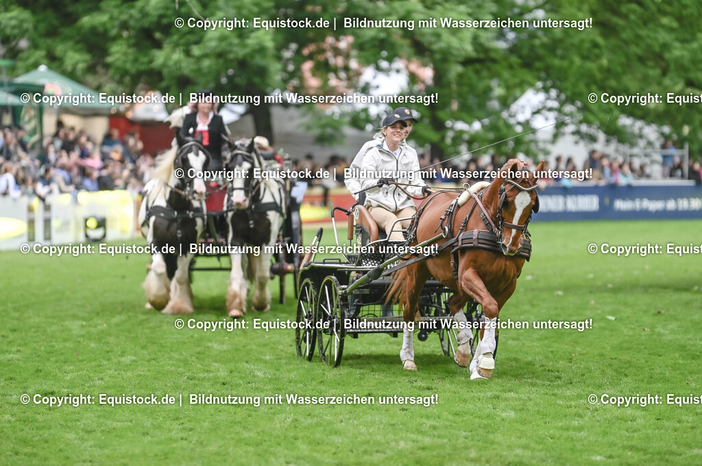 20240517_Lange-Pferdenacht_0097 | Foto: Thomas Hartig
