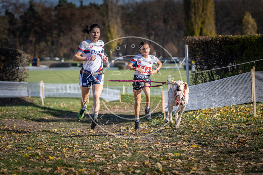 CaniXpix_DV3A8024 | Hundefotografie, Tierfotograf, Pfotenfotografie, Fotoshooting Hund, Hunde Portrait, Hundesport, Hundeportraits, Heideshooting, Hunde, Sportfotograf, Hundefotograf, Turnierhundsport, THS,  - Realisiert mit Pictrs.com