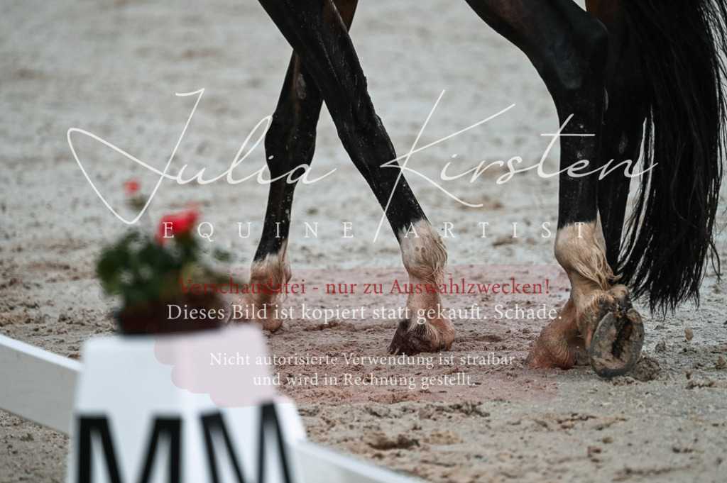 DSC_4163 | Pferde- und Turnierfotografie in Westsachsen. Pferdeportraits, Auftragszeichnungen und intuitive Kunst.