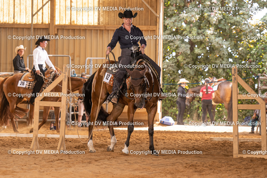 NID00636 | dv-media-shop - Realisiert mit Pictrs.com