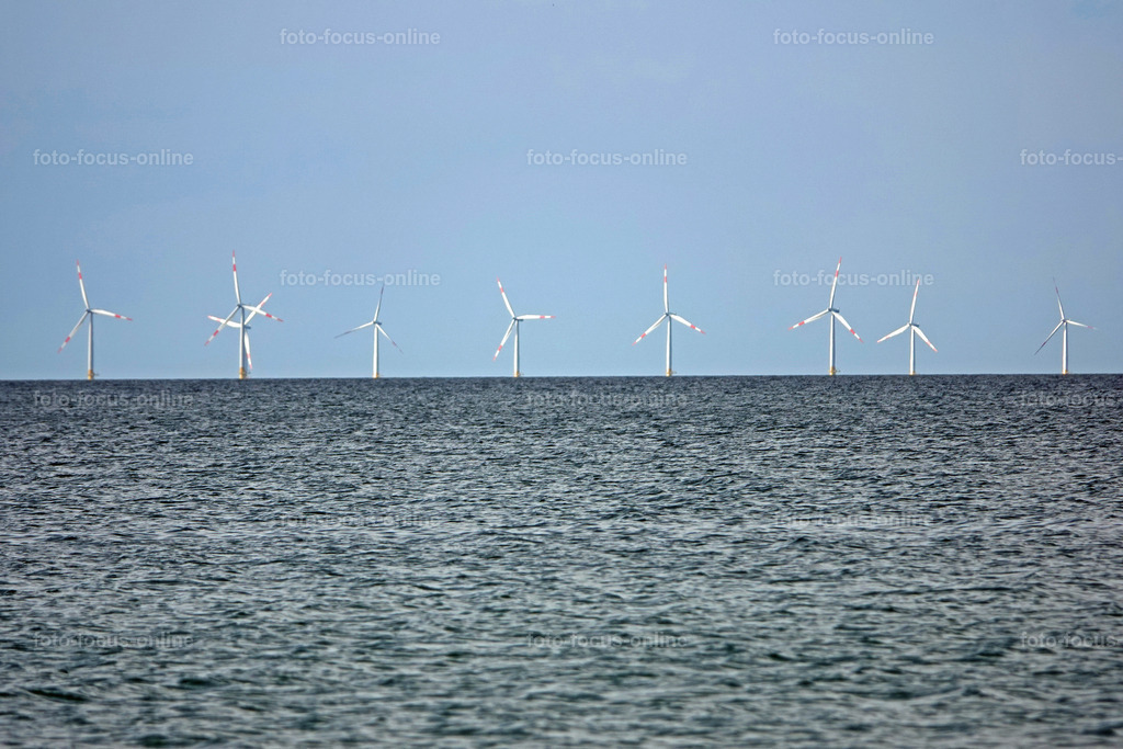 North Beach, Darß | foto-focus-online