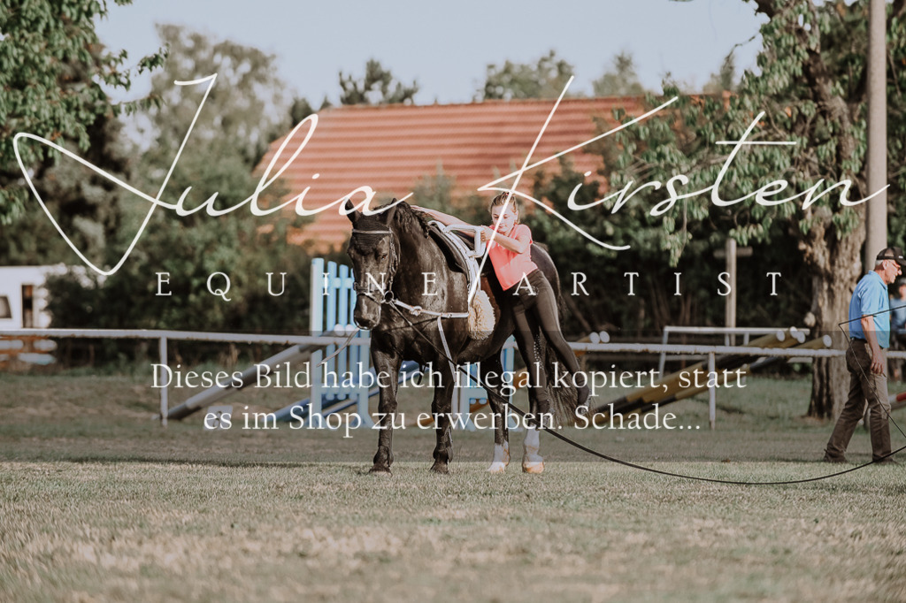 DSC_9854 | Pferde- und Turnierfotografie in Westsachsen. Pferdeportraits, Auftragszeichnungen und intuitive Kunst.