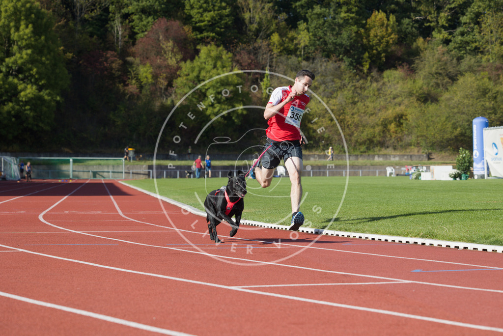 0L8A9609 | Hundefotografie, Tierfotograf, Pfotenfotografie, Fotoshooting Hund, Hunde Portrait, Hundesport, Hundeportraits, Heideshooting, Hunde, Sportfotograf, Hundefotograf, Turnierhundsport, THS,  - Realisiert mit Pictrs.com
