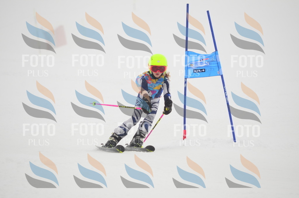 C1305 | holidayphoto