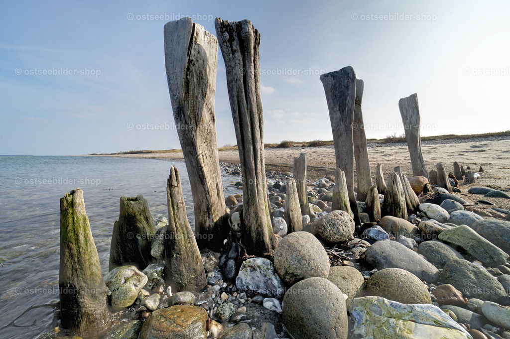 Der Zahn der Zeit | Steine sammeln sich an den abgeschliffenen Resten einer Holzbuhne am Ostseestrand.