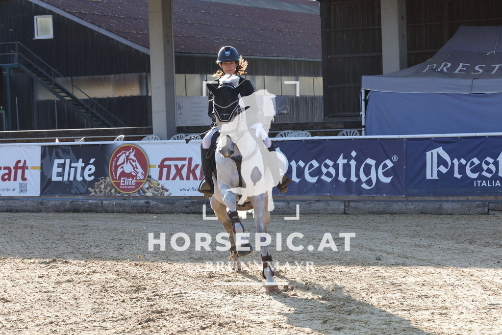 0P6A8391 | Willkommen bei Brunnmayr - Design & Fotografie – Ihrem Spezialisten für Reitturniere und Pferdeveranstaltungen in Oberösterreich, Salzburg und Bayern! Seit über 17 Jahren sind wir leidenschaftlich dabei.