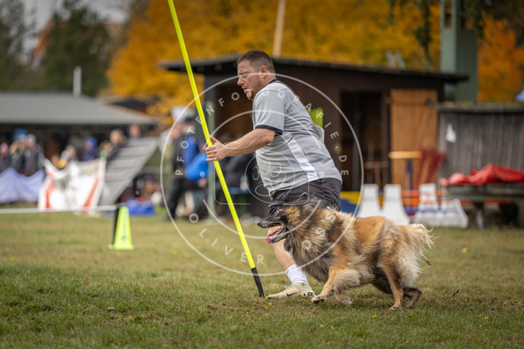 Pfotenfotografie_DV3A7978 | Hundefotografie, Tierfotograf, Pfotenfotografie, Fotoshooting Hund, Hunde Portrait, Hundesport, Hundeportraits, Heideshooting, Hunde, Sportfotograf, Hundefotograf, Turnierhundsport, THS,  - Realisiert mit Pictrs.com