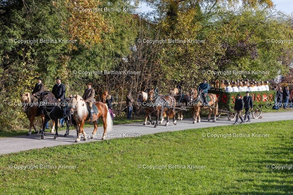 LBT24-243 | foto-bettina-krinner - Realisiert mit Pictrs.com