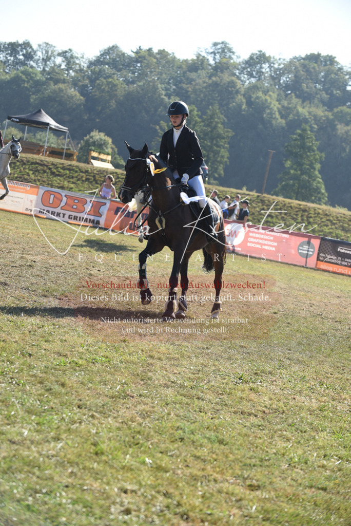 DSC_5497 | Pferde- und Turnierfotografie in Westsachsen. Pferdeportraits, Auftragszeichnungen und intuitive Kunst.