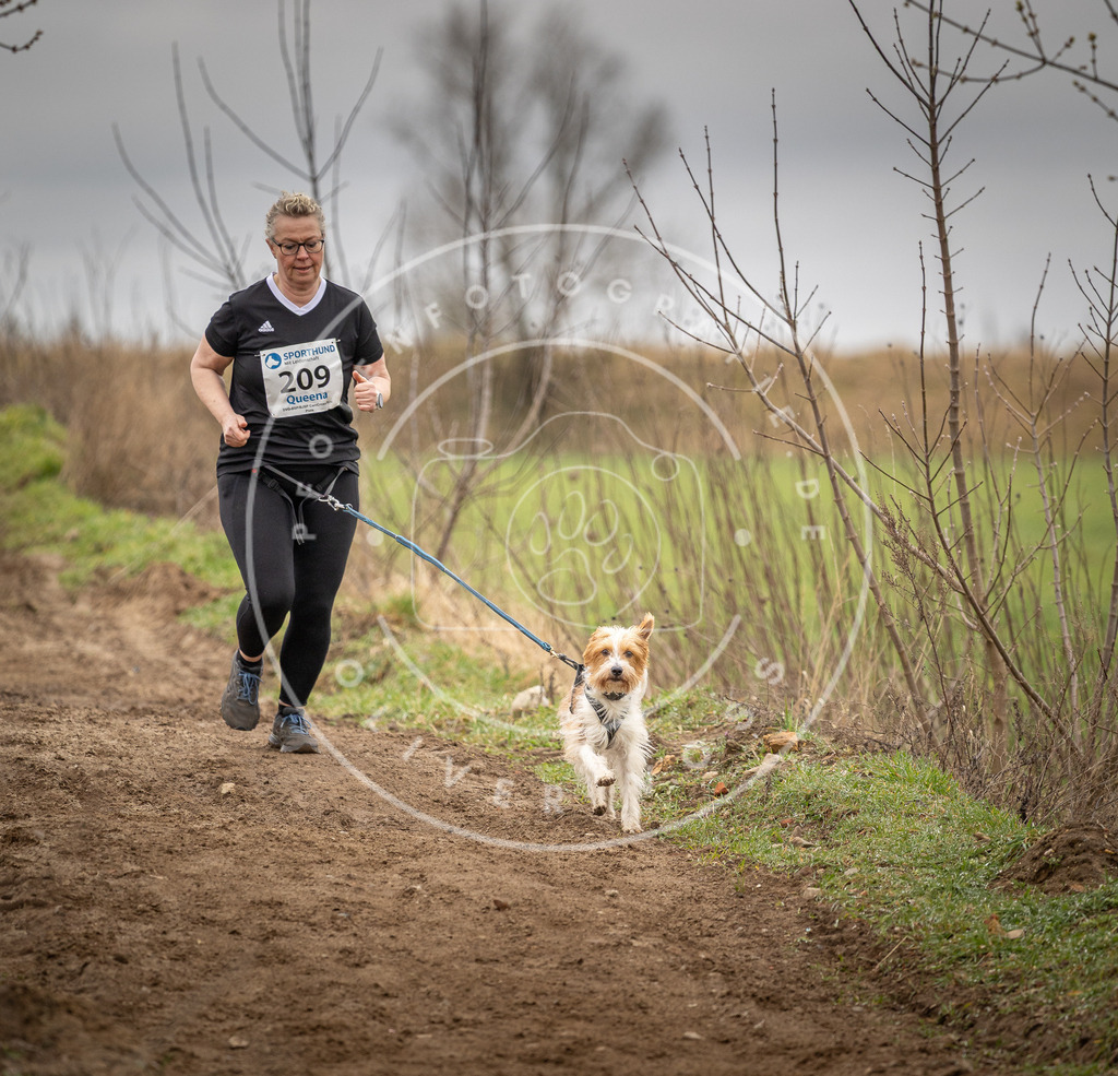 DV3A2597 | Hundefotografie, Tierfotograf, Pfotenfotografie, Fotoshooting Hund, Hunde Portrait, Hundesport, Hundeportraits, Heideshooting, Hunde, Sportfotograf, Hundefotograf, Turnierhundsport, THS,  - Realisiert mit Pictrs.com