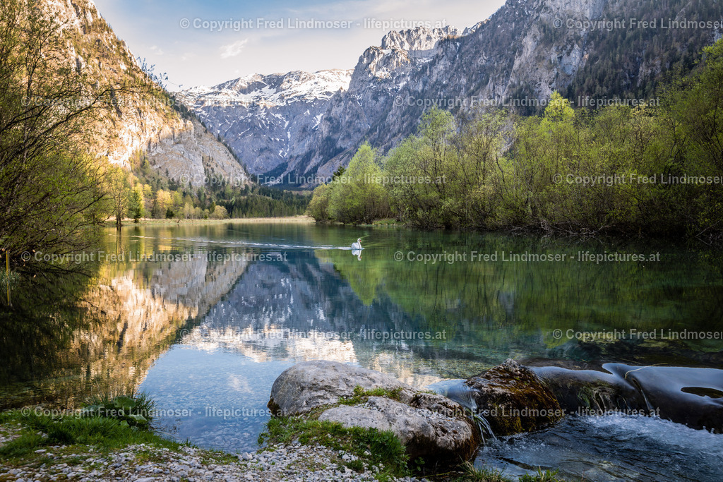 Brunnsee Wildalpen 2018-48680 | Fotos und Fotoprodukte - Realisiert mit Pictrs.com