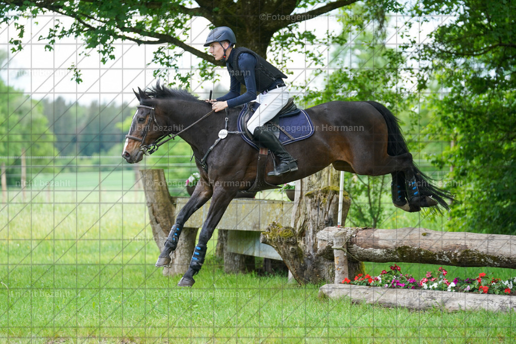 20240518-FAH03876 | Turnierbilder von Niederseon, Turnierfotografen Bayern, Fotoagentur Herrmann, Geländebilder, Reitsportfotografie