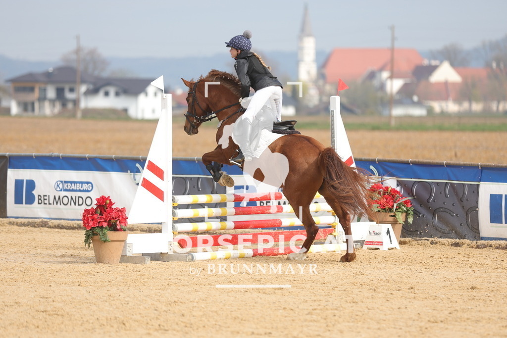 0P6A9224 | Willkommen bei Brunnmayr - Design & Fotografie – Ihrem Spezialisten für Reitturniere und Pferdeveranstaltungen in Oberösterreich, Salzburg und Bayern! Seit über 17 Jahren sind wir leidenschaftlich dabei.