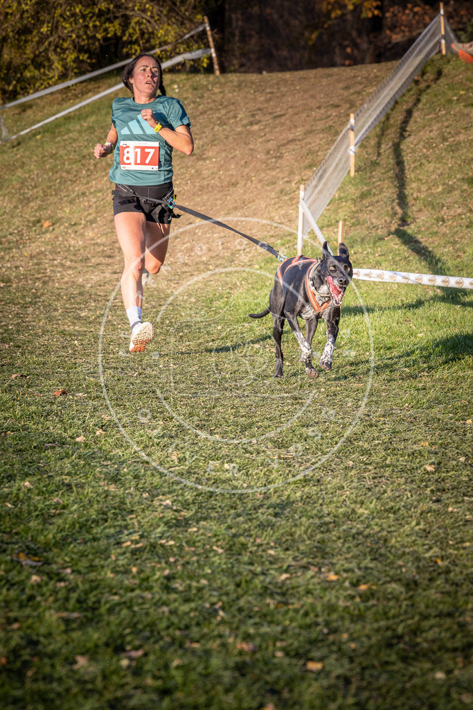 CaniXpix_0L8A0490 | Hundefotografie, Tierfotograf, Pfotenfotografie, Fotoshooting Hund, Hunde Portrait, Hundesport, Hundeportraits, Heideshooting, Hunde, Sportfotograf, Hundefotograf, Turnierhundsport, THS,  - Realisiert mit Pictrs.com