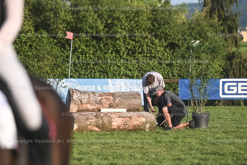 20230909_20_Leonberger-Derby_0244 | equistock