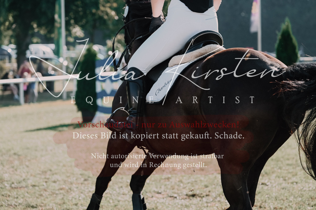 DSC_4506 | Pferde- und Turnierfotografie in Westsachsen. Pferdeportraits, Auftragszeichnungen und intuitive Kunst.