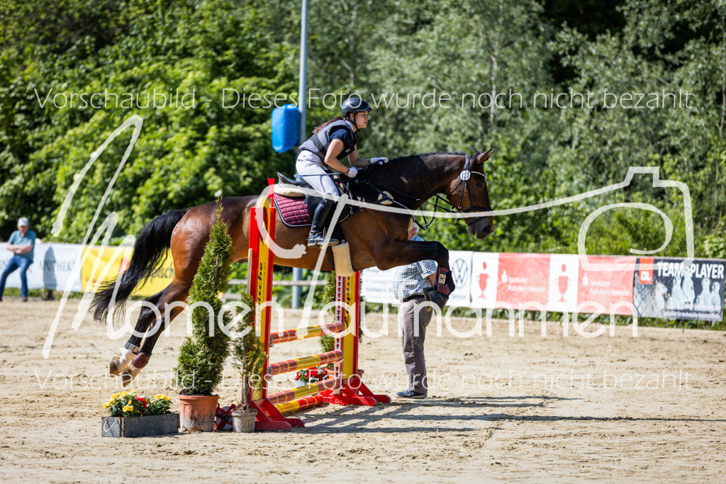 Donop24-ESpr-026 | MomenTaufnahmen Pferdesportfotos