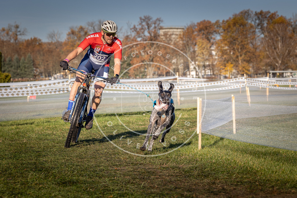 CaniXpix_0L8A4463 | Hundefotografie, Tierfotograf, Pfotenfotografie, Fotoshooting Hund, Hunde Portrait, Hundesport, Hundeportraits, Heideshooting, Hunde, Sportfotograf, Hundefotograf, Turnierhundsport, THS,  - Realisiert mit Pictrs.com