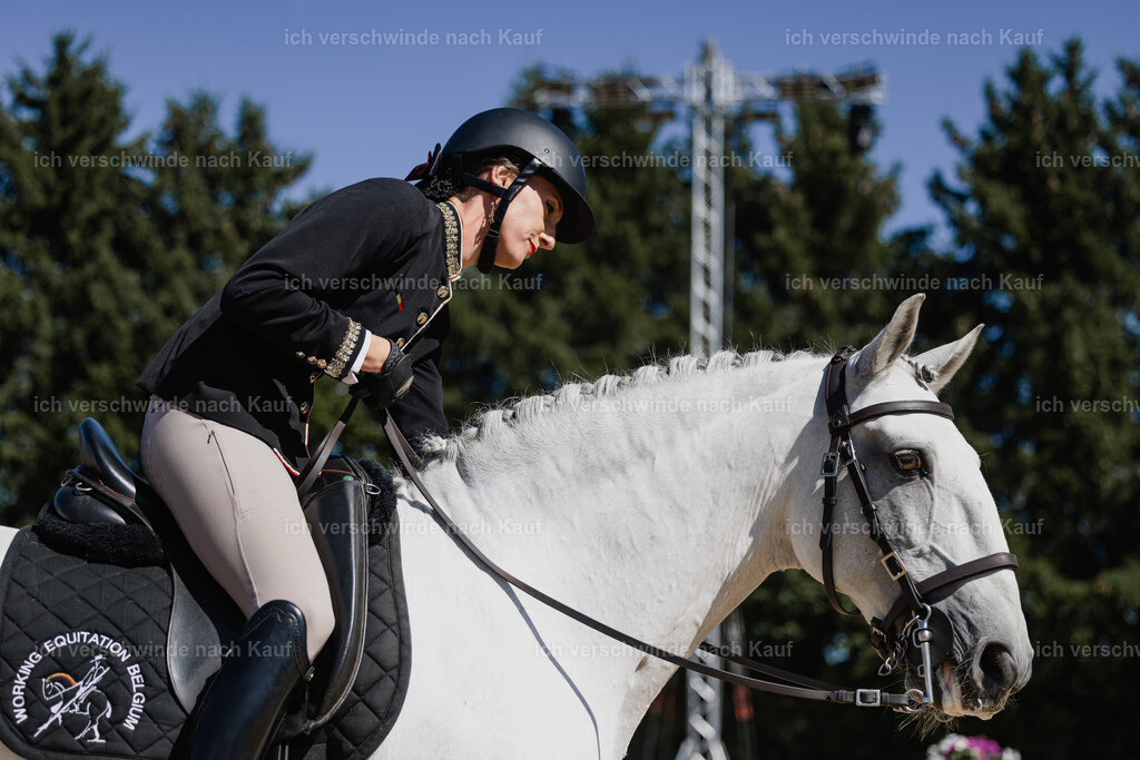 Virginie12FHC2025-27296 | working equitationturnier fotograf videograf stoibphotography marixx film working equitation deutschland reitsport turnierfotografie eventfotografie equestrian events