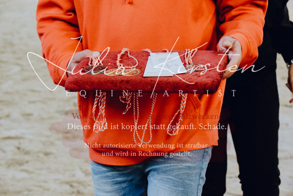 DSC_7113 | Pferde- und Turnierfotografie in Westsachsen. Pferdeportraits, Auftragszeichnungen und intuitive Kunst.