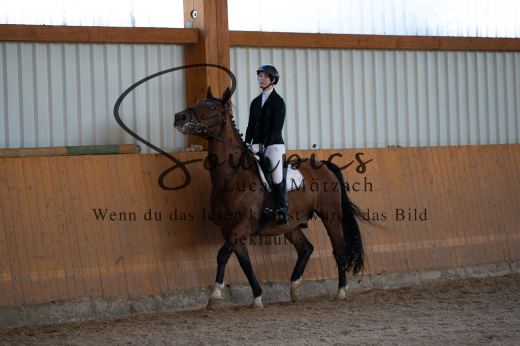 A7V01768 | Turnier/Reitfotograf