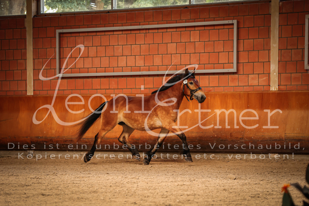 SaFL00093 | Leoni Ertmer Photography - Realisiert mit Pictrs.com