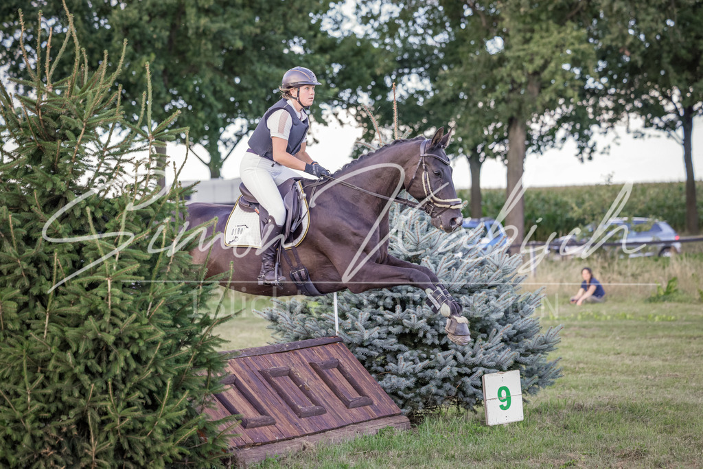 20250906-_3LI7339 | Tierfotografie Pferde, Hunde, Katzen, Haustiere.
Turnierfotografie Reitturniere, Reiten, Springreiten, Dressur in Hanau, dem Main-Kinzig-Kreis und dem Rhein-Main- Gebiet um Frankfurt