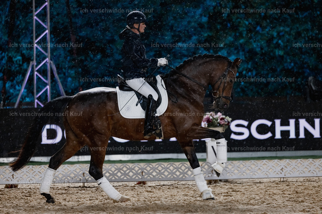 FHClassics-79 | working equitationturnier fotograf videograf stoibphotography marixx film working equitation deutschland reitsport turnierfotografie eventfotografie equestrian events