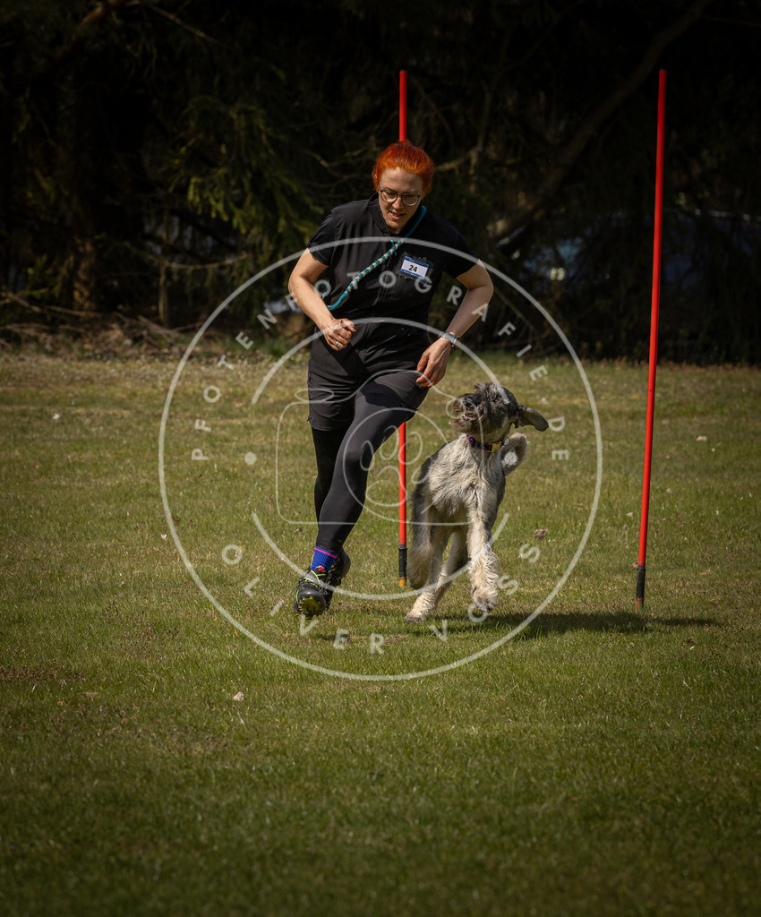 Pfotenfotografie_DV3A4518 | Hundefotografie, Tierfotograf, Pfotenfotografie, Fotoshooting Hund, Hunde Portrait, Hundesport, Hundeportraits, Heideshooting, Hunde, Sportfotograf, Hundefotograf, Turnierhundsport, THS,  - Realisiert mit Pictrs.com