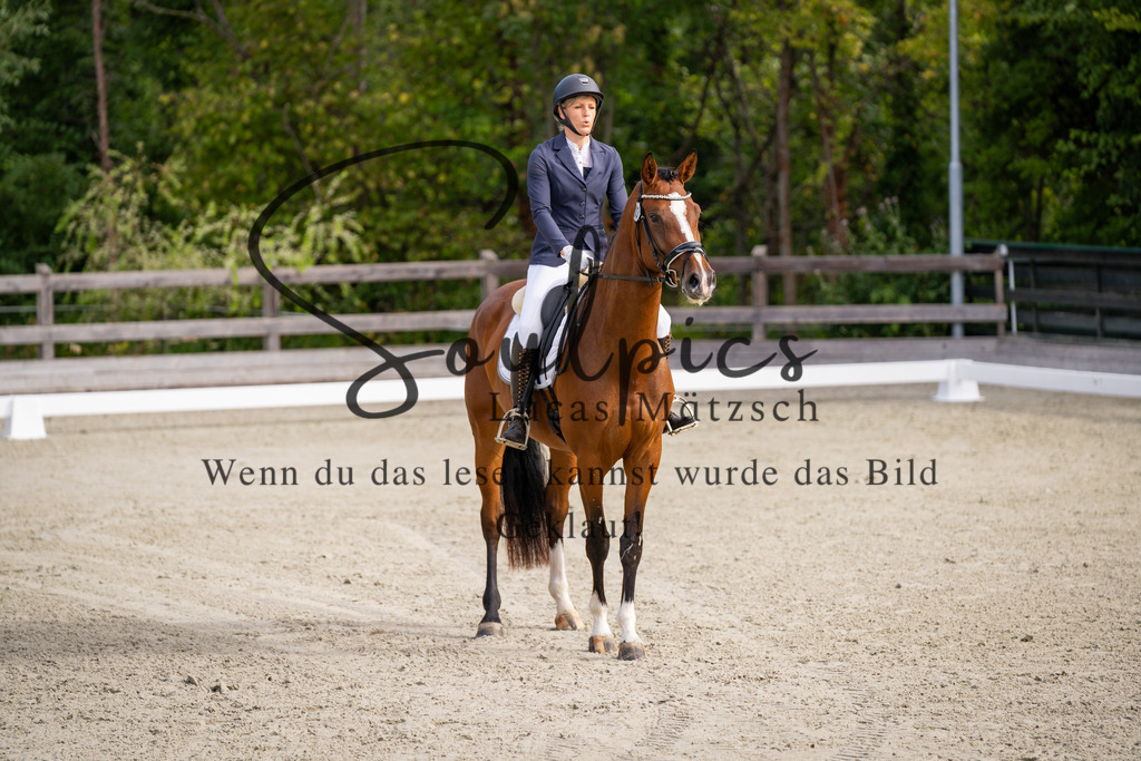 A7V06783 | Turnier/Reitfotograf