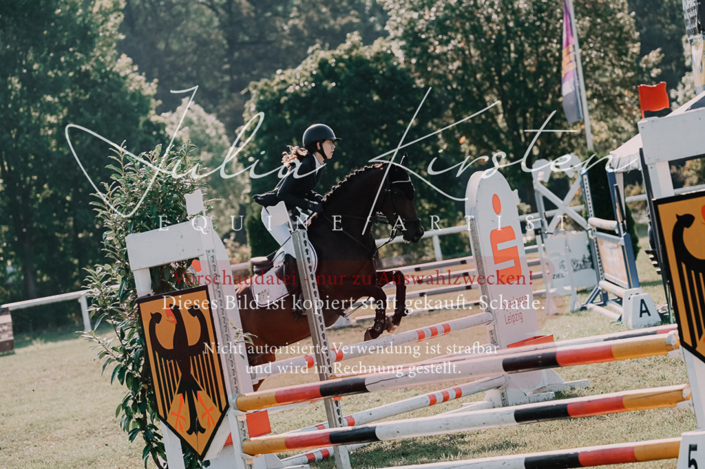 DSC_4693 | Pferde- und Turnierfotografie in Westsachsen. Pferdeportraits, Auftragszeichnungen und intuitive Kunst.