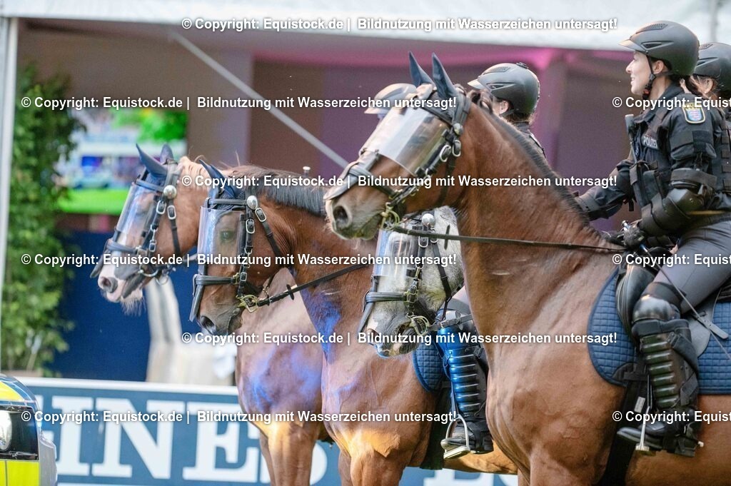 20250606_Lange-Pferdenacht_0833 | Foto: Thomas Hartig