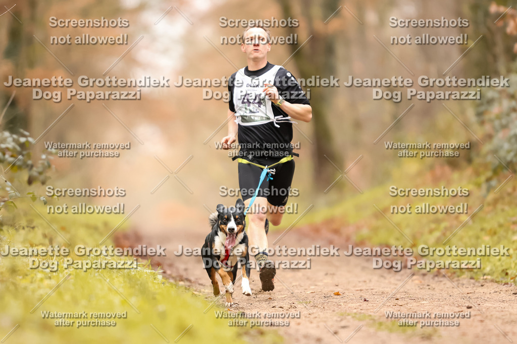 Dog Paparazzi - Speedhunter Mannheim  2025-113 | Dog Paparazzi Jeanette Grottendiek Fotografie & Videografie