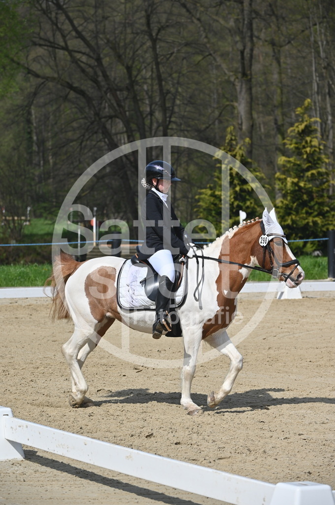 DSC_1001 | sattelsport - Realisiert mit Pictrs.com