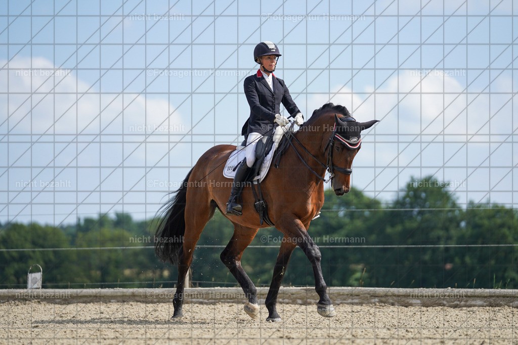 20230826-FAH06022 | Forstinning, 2023, Dressurturnier, Turniersportbilder, Turnierfotografen Bayern, Fotoagentur Herrmann, Reitsportfotografie, Turnierbilder