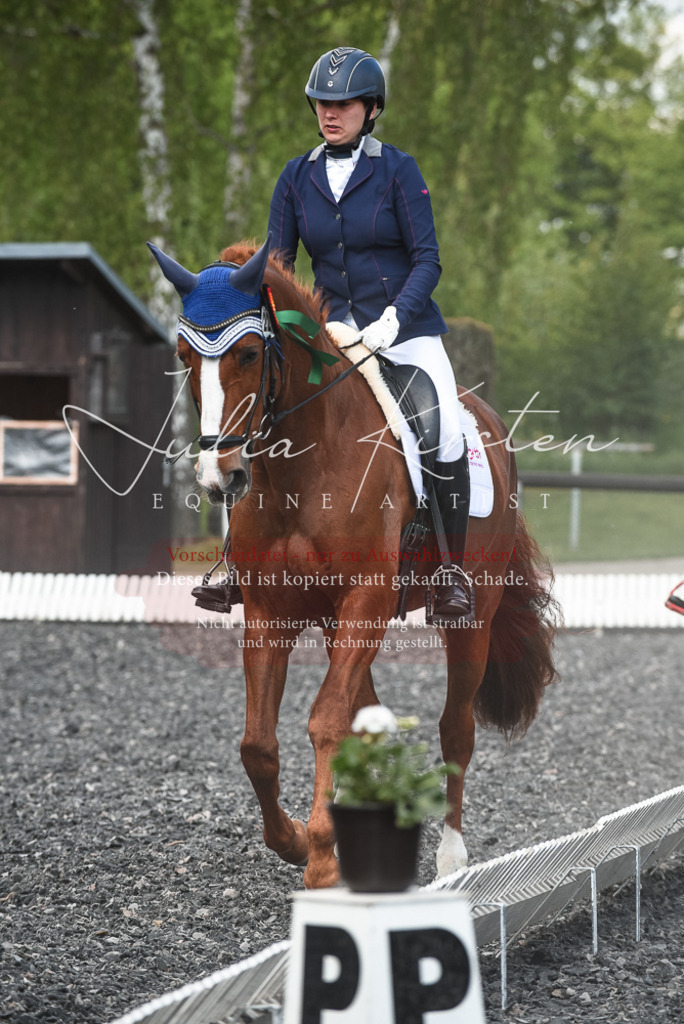 DSC_9103 | Pferde- und Turnierfotografie in Westsachsen. Pferdeportraits, Auftragszeichnungen und intuitive Kunst.