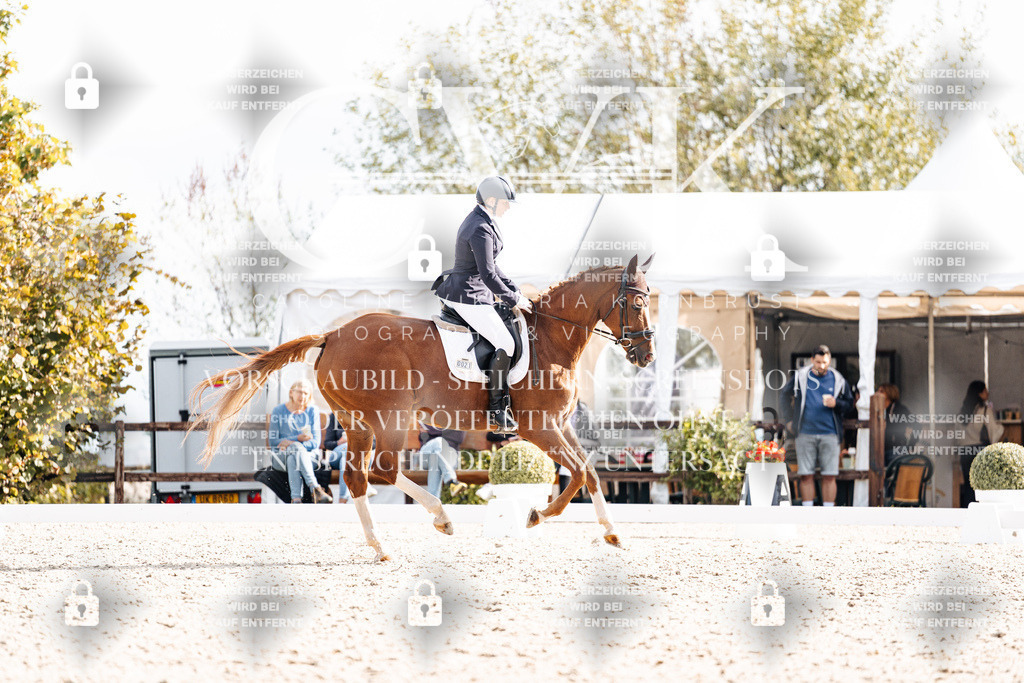 CK901867 | Turnierfotografie Pferdefotografie Trier Rheinland-Pfalz Pferdesport Reitsport Tierfotografie Sportfotografie Pferdevideo Pferdevideografie Equestrianvideography equestrianphotography  - Realisiert mit Pictrs.com