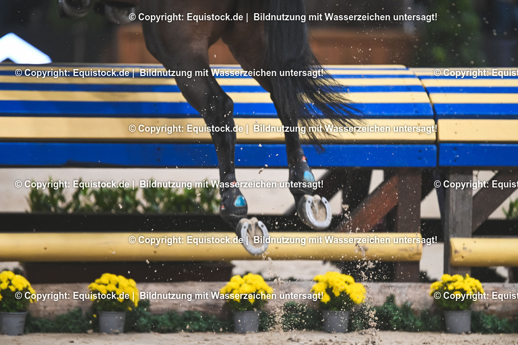 20251112_Indoor-Derby_TOMSPIC_0475 | Foto: Thomas Hartig