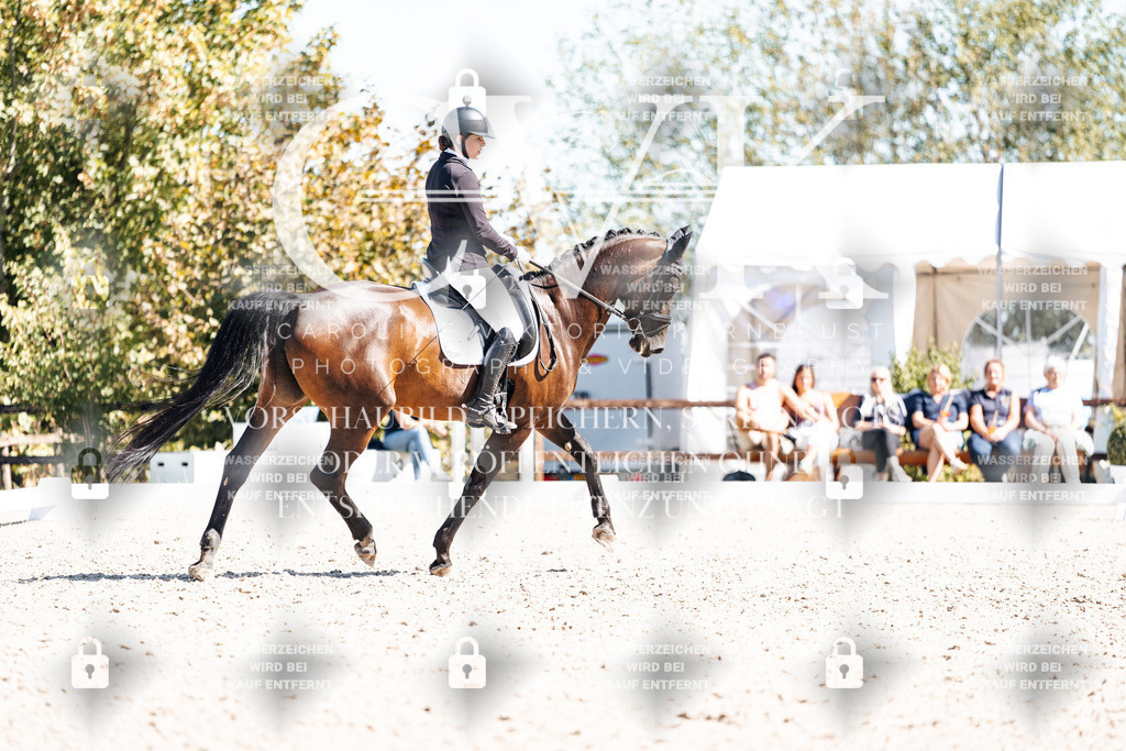 CK909715 | Turnierfotografie Pferdefotografie Trier Rheinland-Pfalz Pferdesport Reitsport Tierfotografie Sportfotografie Pferdevideo Pferdevideografie Equestrianvideography equestrianphotography  - Realisiert mit Pictrs.com
