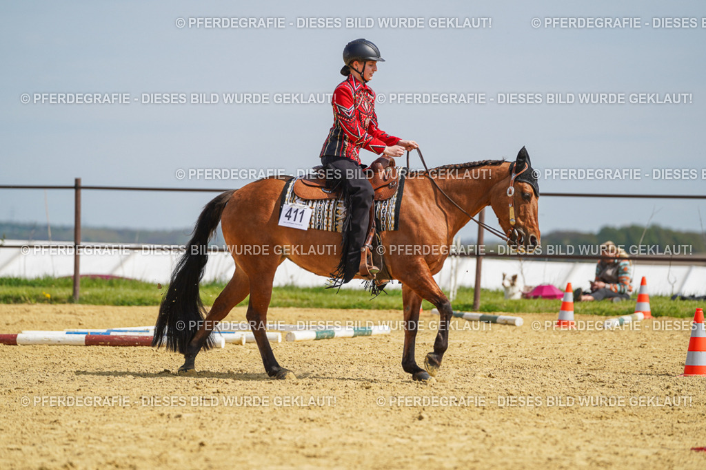 DSC04480 | Pferdegrafie