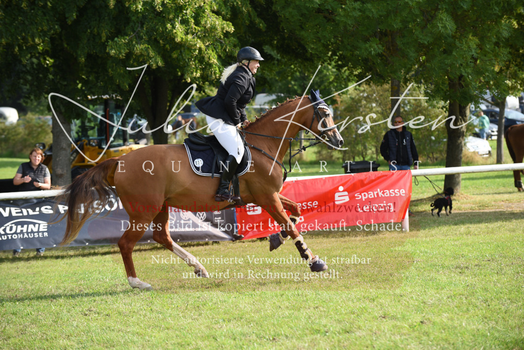 DSC_8710 | Pferde- und Turnierfotografie in Westsachsen. Pferdeportraits, Auftragszeichnungen und intuitive Kunst.