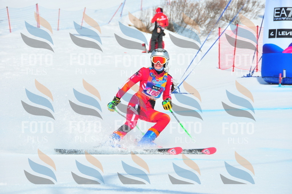 DSC_5355 | holidayphoto