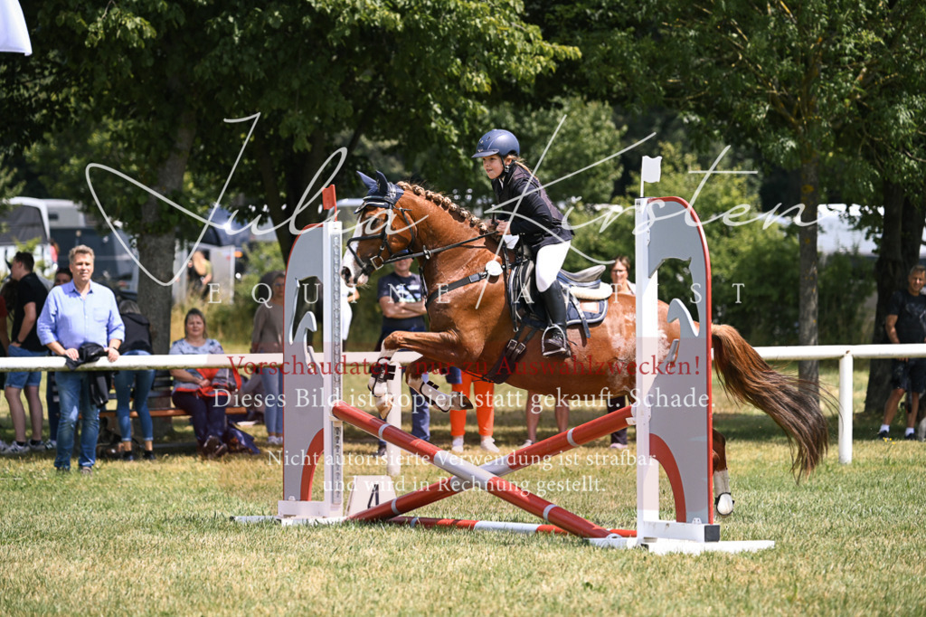 DSC_9218 | Pferde- und Turnierfotografie in Westsachsen. Pferdeportraits, Auftragszeichnungen und intuitive Kunst.