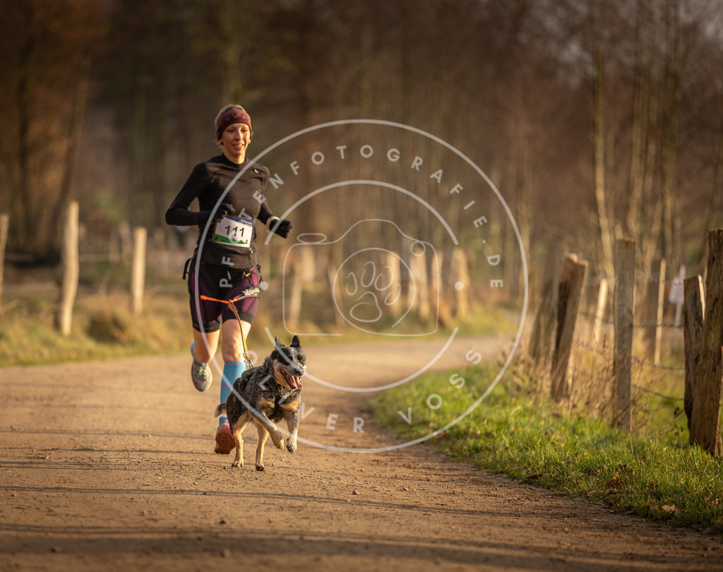 Pfotenfotografie_DV3A5079 | Hundefotografie, Tierfotograf, Pfotenfotografie, Fotoshooting Hund, Hunde Portrait, Hundesport, Hundeportraits, Heideshooting, Hunde, Sportfotograf, Hundefotograf, Turnierhundsport, THS,  - Realisiert mit Pictrs.com