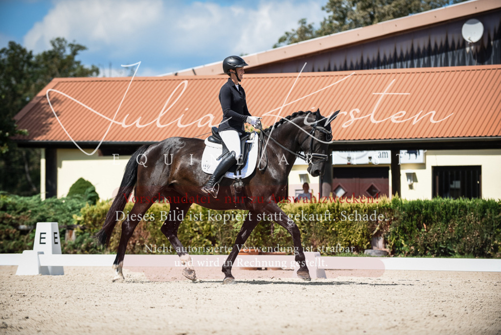 DSC_9056 | Pferde- und Turnierfotografie in Westsachsen. Pferdeportraits, Auftragszeichnungen und intuitive Kunst.