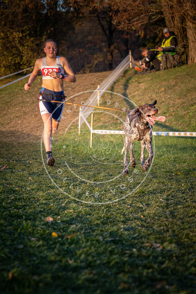 CaniXpix_0L8A1765 | Hundefotografie, Tierfotograf, Pfotenfotografie, Fotoshooting Hund, Hunde Portrait, Hundesport, Hundeportraits, Heideshooting, Hunde, Sportfotograf, Hundefotograf, Turnierhundsport, THS,  - Realisiert mit Pictrs.com