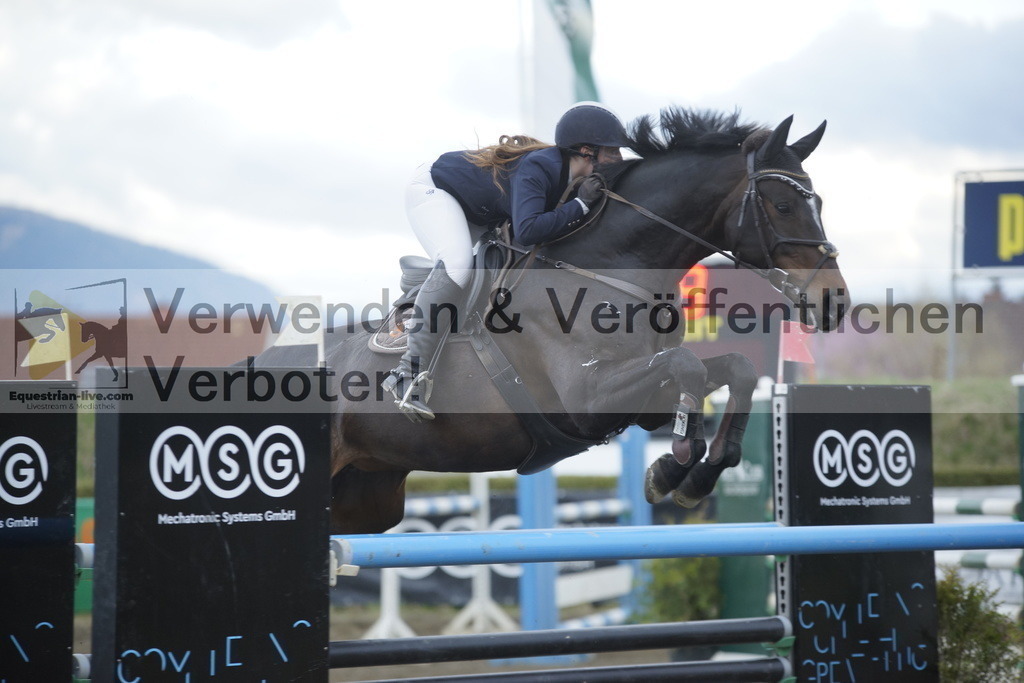 _DSC8263 | equestrian-live-com