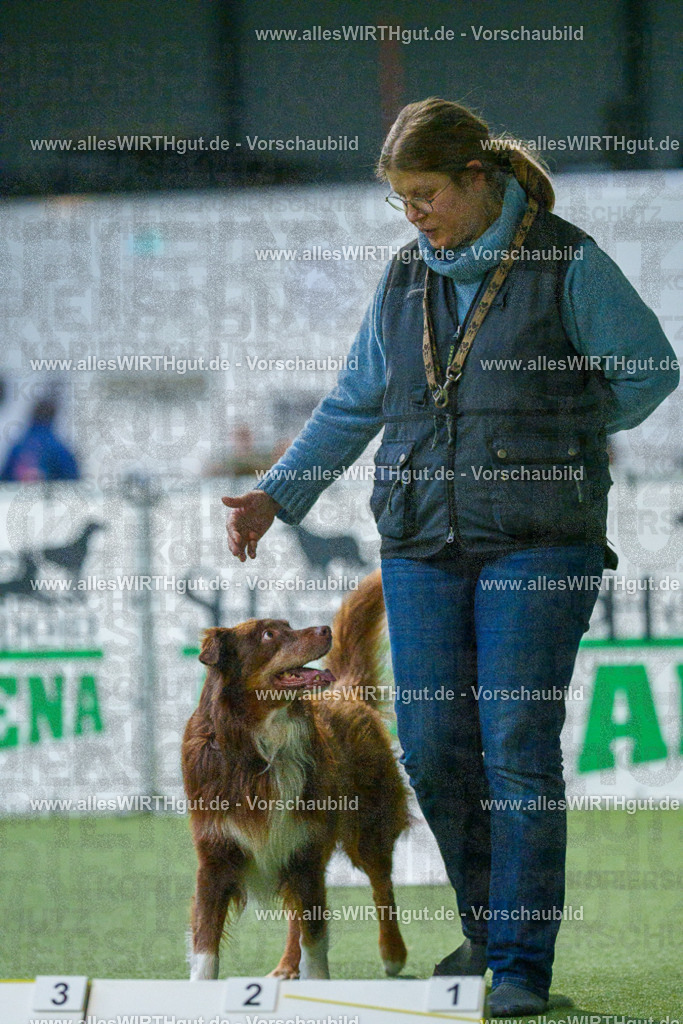 7R500844 | Professionelle Tierfotografie in Mönchengladbach von Daniel Wirth (allesWIRTHgut). Liebevolle & natürliche Bilder von Hunden & Katzen für unvergessliche Erinnerungen.