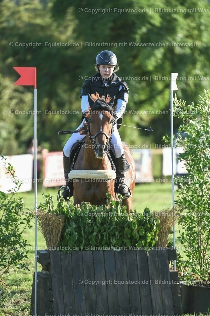 20230909_20_Leonberger-Derby_0070 | Foto: Thomas Hartig