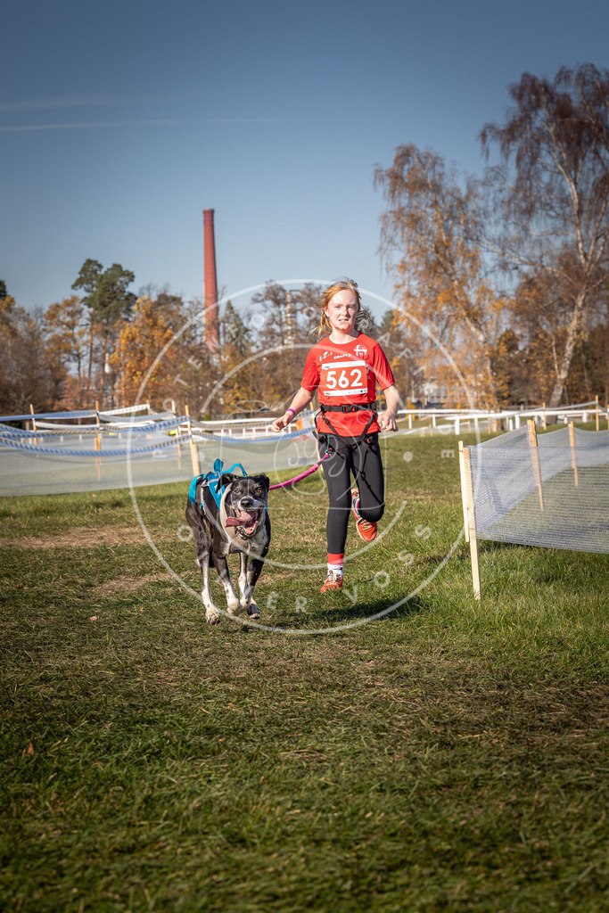 CaniXpix_0L8A7965 | Hundefotografie, Tierfotograf, Pfotenfotografie, Fotoshooting Hund, Hunde Portrait, Hundesport, Hundeportraits, Heideshooting, Hunde, Sportfotograf, Hundefotograf, Turnierhundsport, THS,  - Realisiert mit Pictrs.com